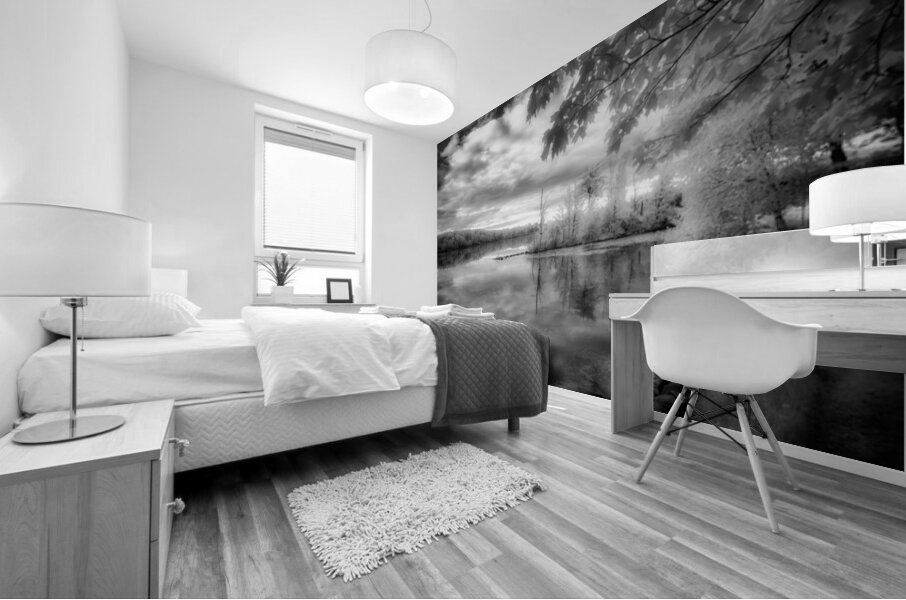 Mirror of Dreams Mural print