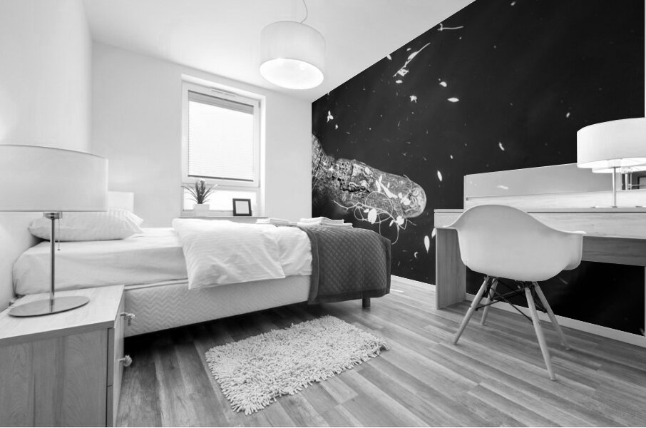 Drift Then Silence Mural print