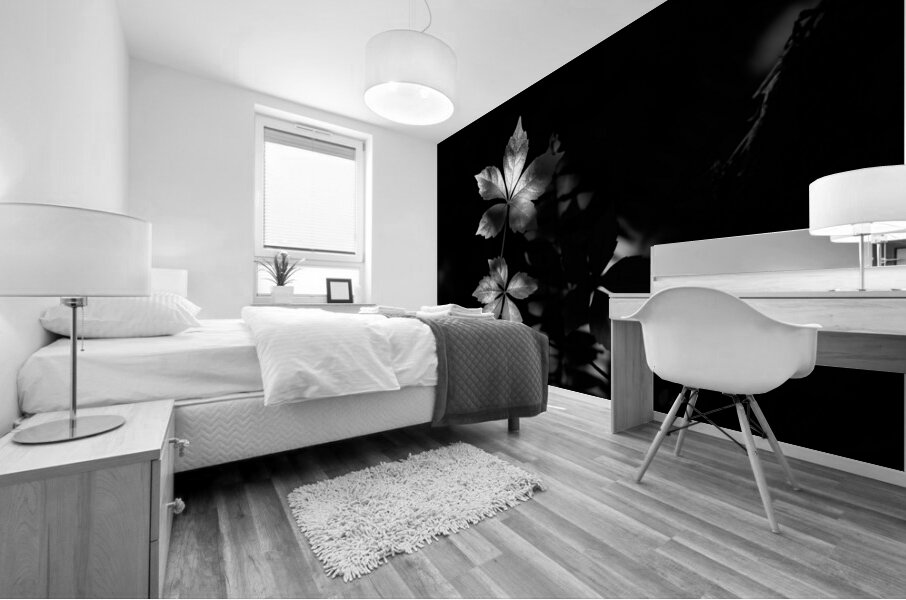 The Leaf That Floats Mural print