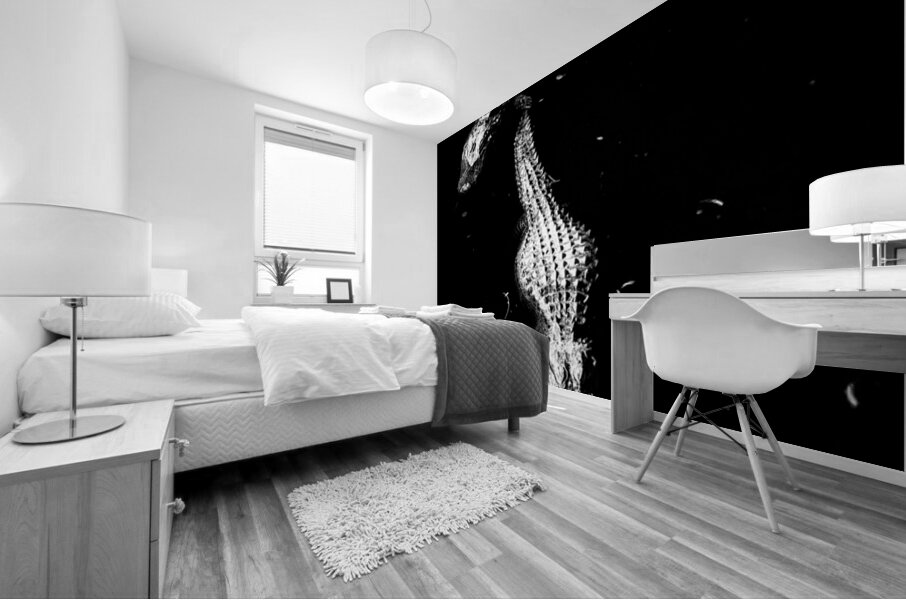 Two Shadows One Current Mural print