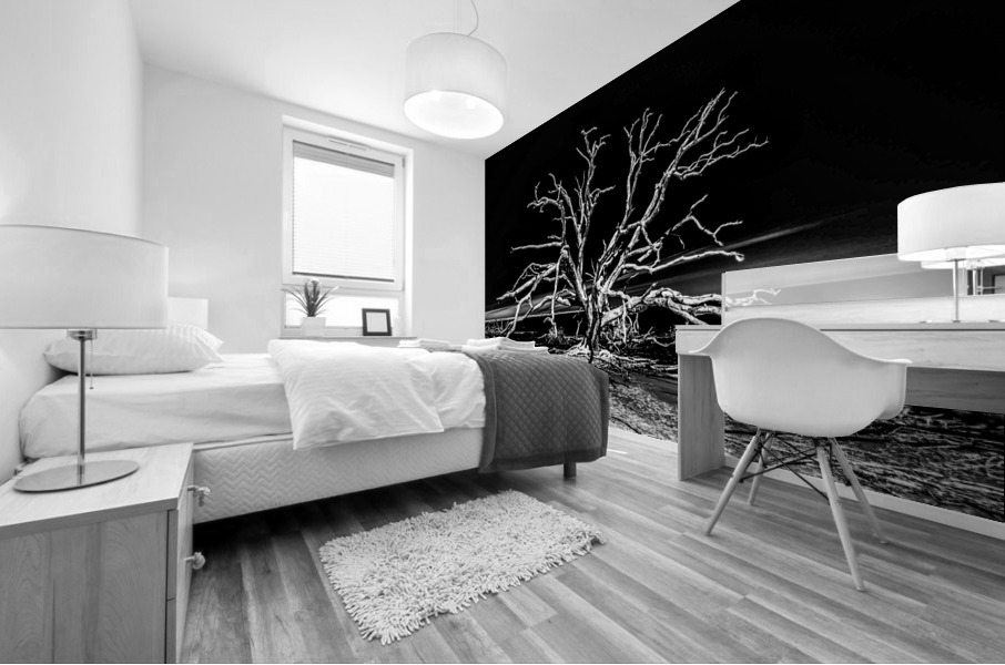 Ghost Dancer  Mural print