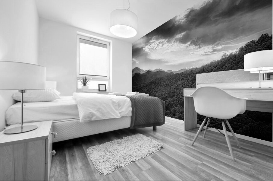 Shadows of Pikes Peak Mural print