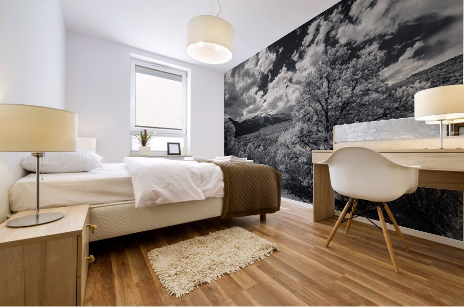 Trail to Majesty: A Glimpse Beyond on Scotchman Trail Garden of the Gods Mural print