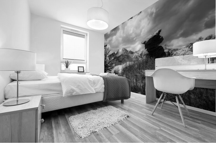 Monochromatic Majesty: A Dual Journey through the Garden of the Gods Mural print