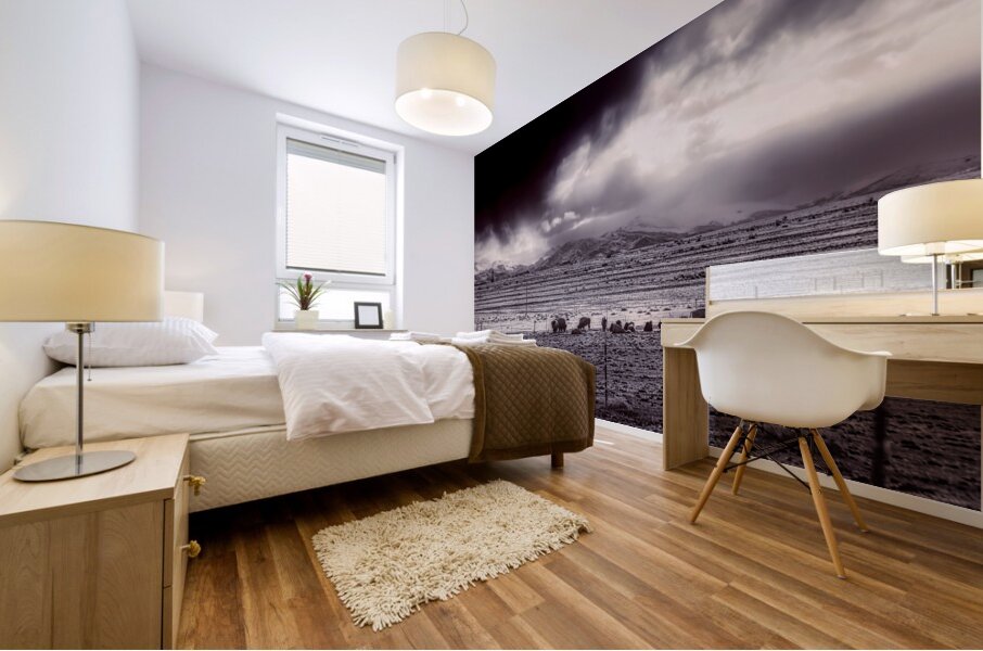 Stormy Bison Territory Mural print