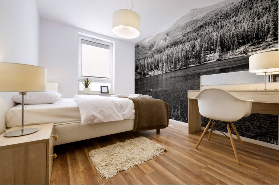 Whispers in the Wilderness: Sprague Lake Mural print