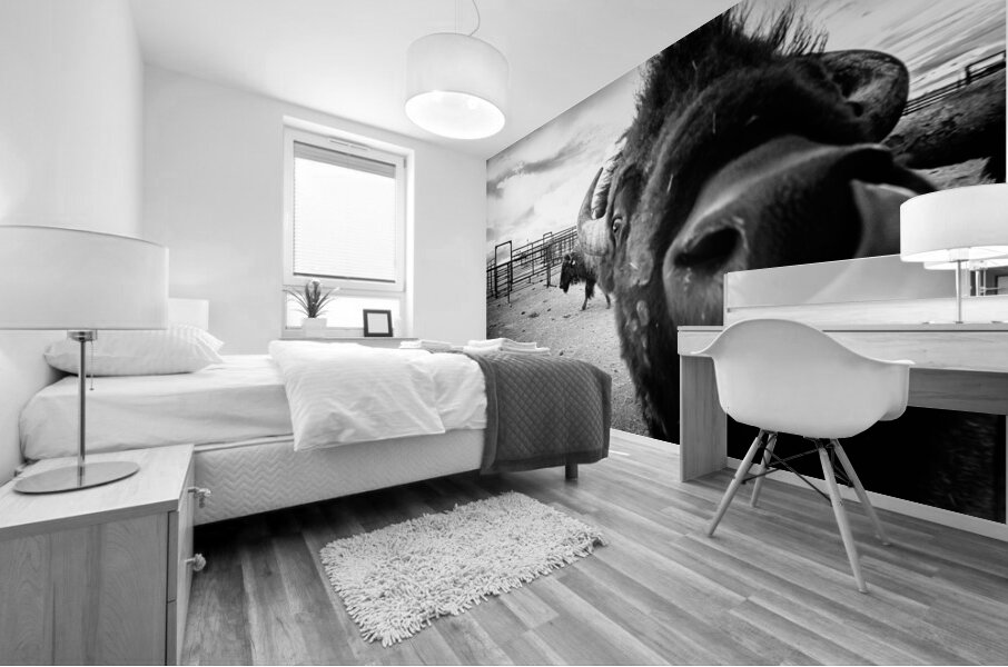 Hello: A Bison’s Surprise Greeting Mural print