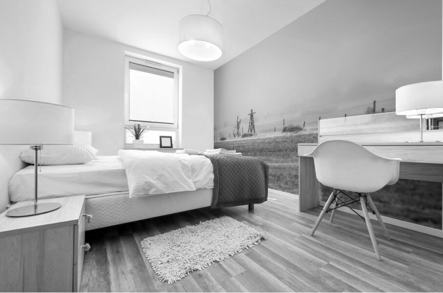 Nebraska Farm - 44 Mural print