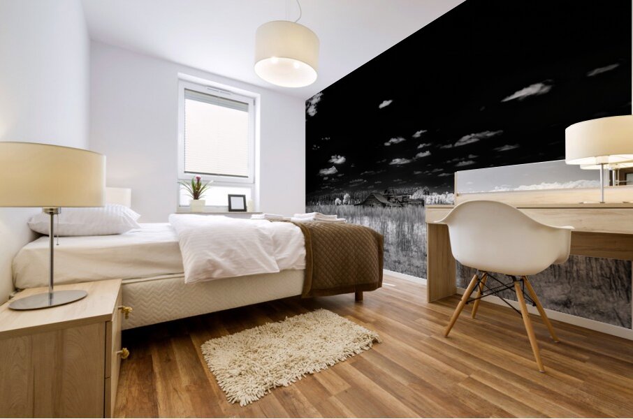 Forgotten Georgia Barn Mural print