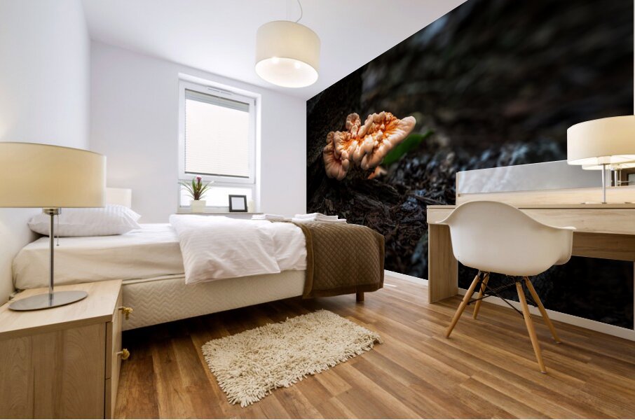 Delaware Fungi: A Lighted Shroom in the Mystical Forest Mural print