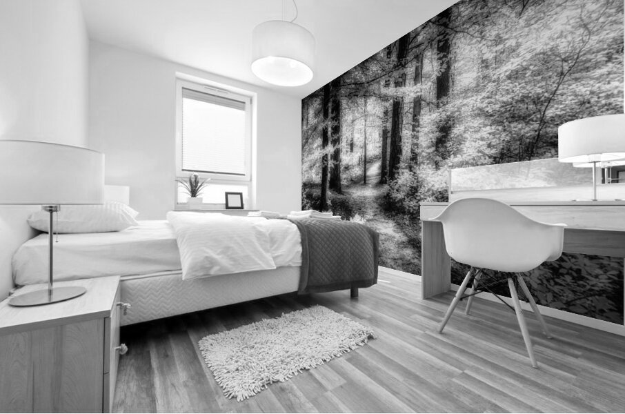 Killens Path: Serene Infrared Passage Mural print