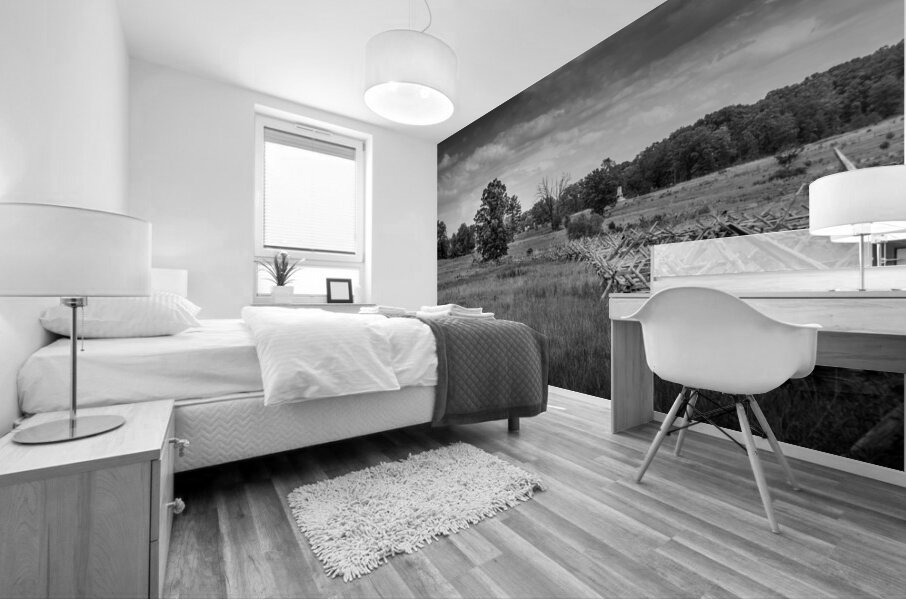 Fenceline Field Mural print