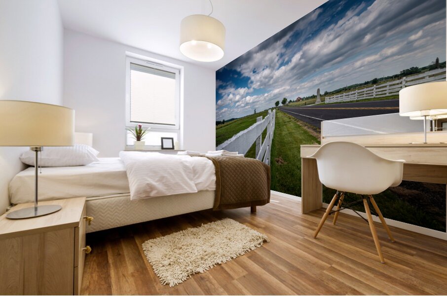 Fence along the road Mural print