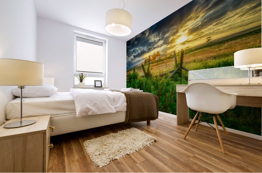 Fenceline sunset Mural print