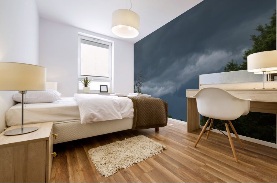 Natures Fury: Twister Mural print