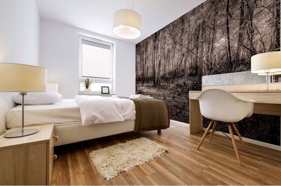 Cypress Shadows at Dawn Mural print