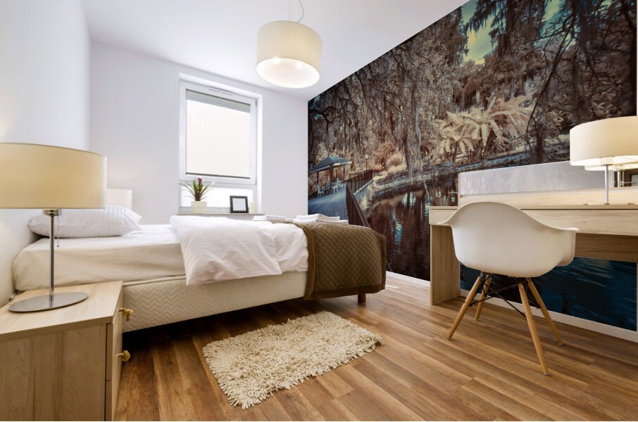 IR Boardwalk Mural print