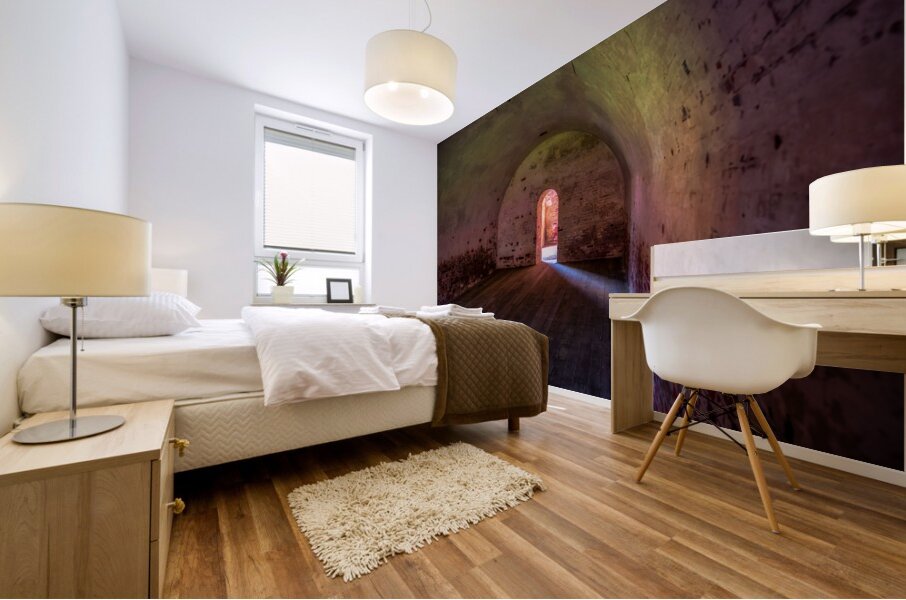 Timeless Passage: Fort Macon Doorway Mural print