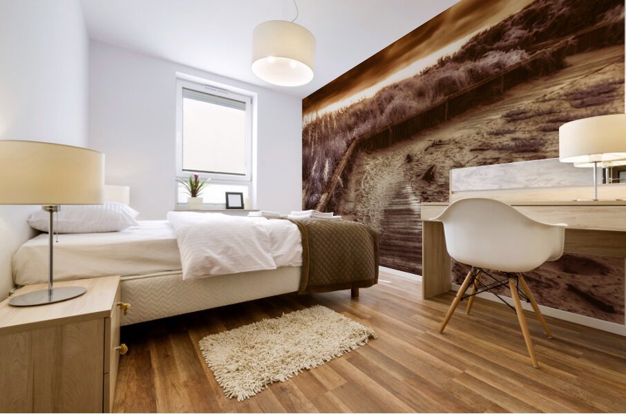 Storm Watch Passage Mural print