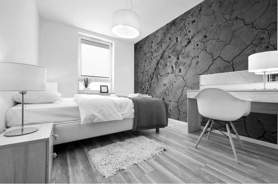 Deserted Elegance: Unearthing Natural Patterns in the Badlands Mural print