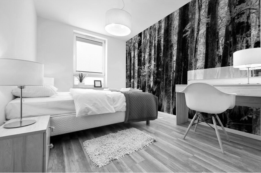 Cypress Whispers Mural print