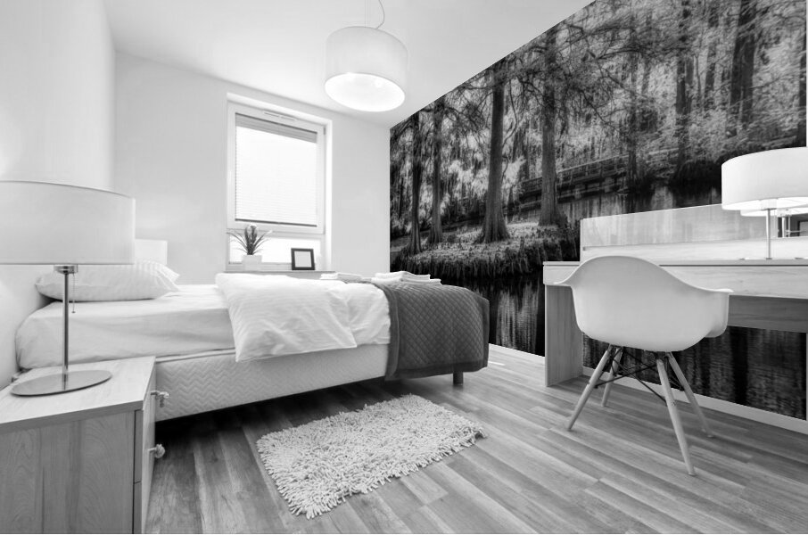 Four Bald Island Mural print