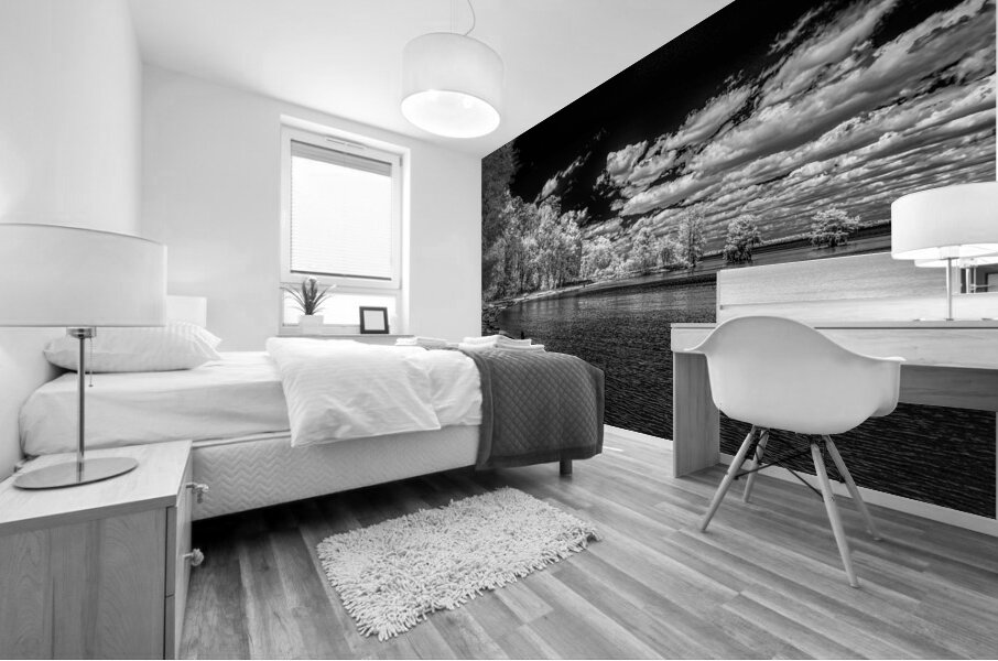 Mystical Waters: Stark Cove in Santee Mural print