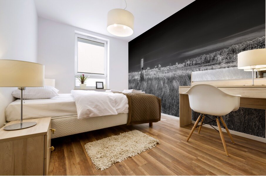 Chimneys Solitude Mural print