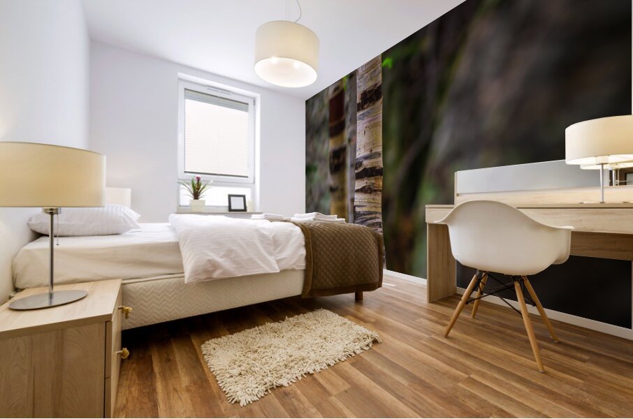 Exploring Sylvan Lake: Capturing the Beauty of Aspen Bark Mural print