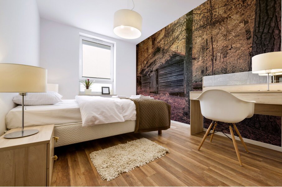 Abandoned Cabin Sanctuary Mural print