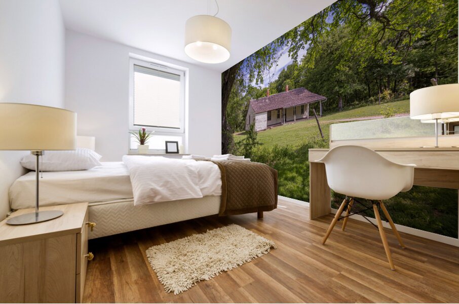 Farmhouse -6 Mural print