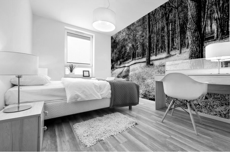 Enchanted Pathways: A Monochrome Overture Mural print