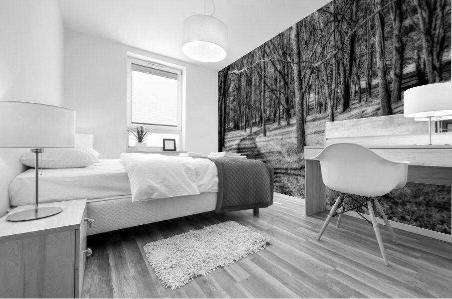 Solitary Trails: Eerie Path Near Knoxville Mural print