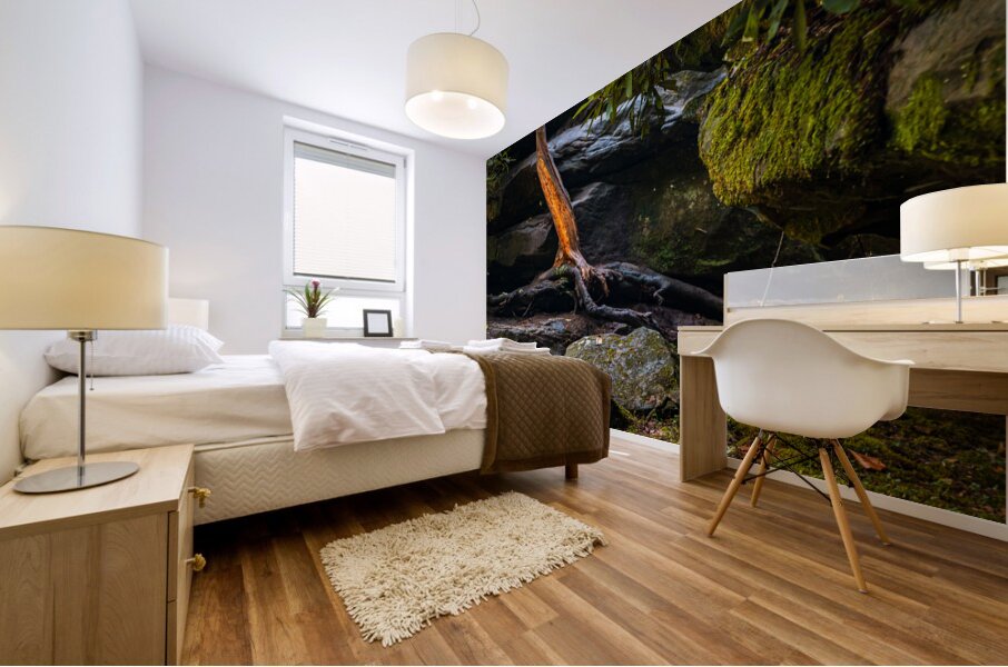 Fiery Stump Mural print