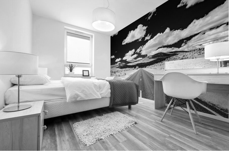 Rural Majesty Unveiled: Montanas Highway Horizon in Black and White Infrared Splendor  Mural print