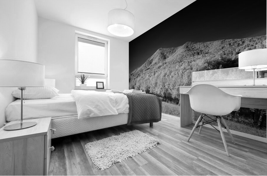 Peaks of Otter - 2 Mural print