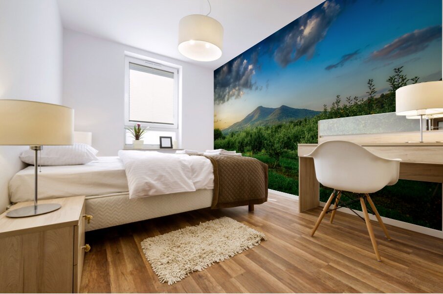 Peaks of Otter Mural print