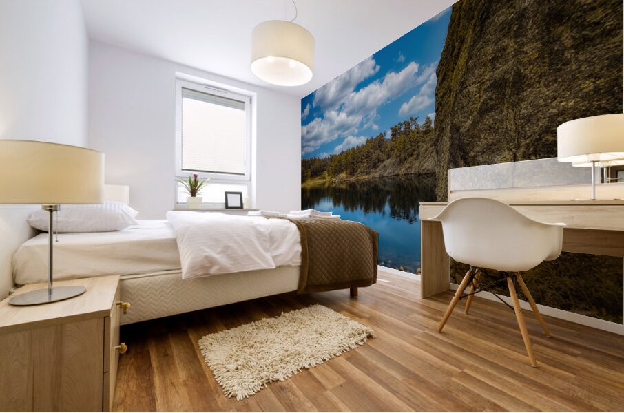 Legion Lake - 1 Mural print