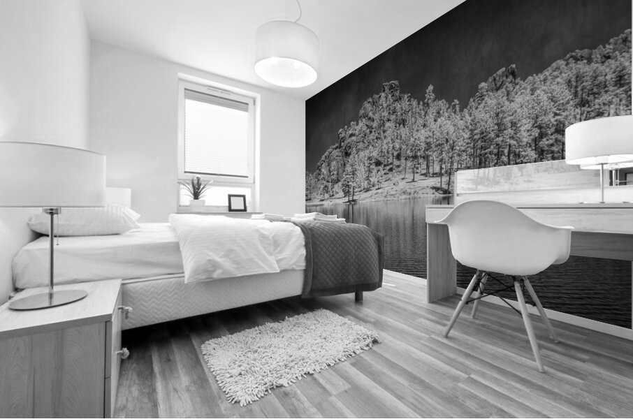 Mystic Shores: A Sylvan Lake Symphony Mural print