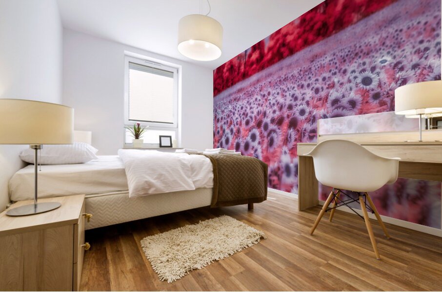 Pink Sunflowers Mural print