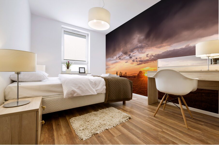 Montana Sunset Mural print