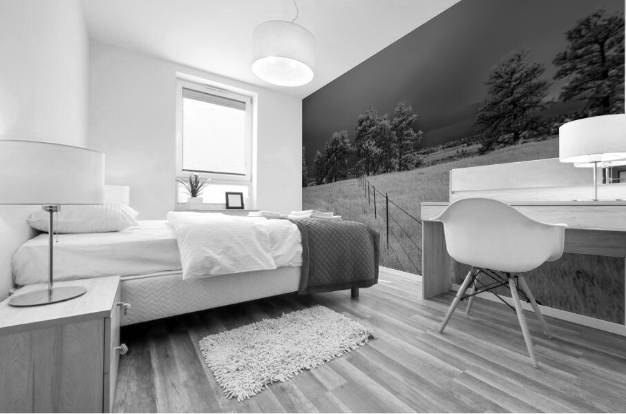 Montana Fenceline Storm Mural print