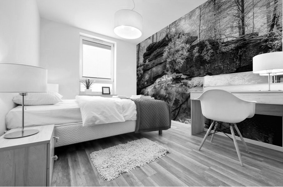 Rocky Tranquility: Natural Bridge Kentucky Mural print