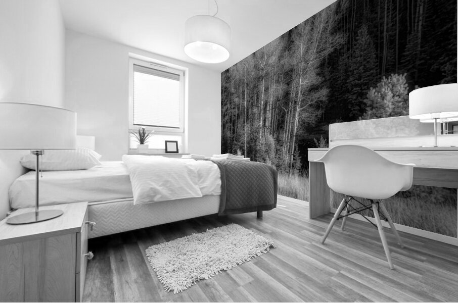 Mueller Aspen Series: Twilight Whispers Mural print