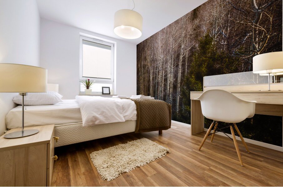 Mueller Aspen Series: Whispers of Fall Mural print