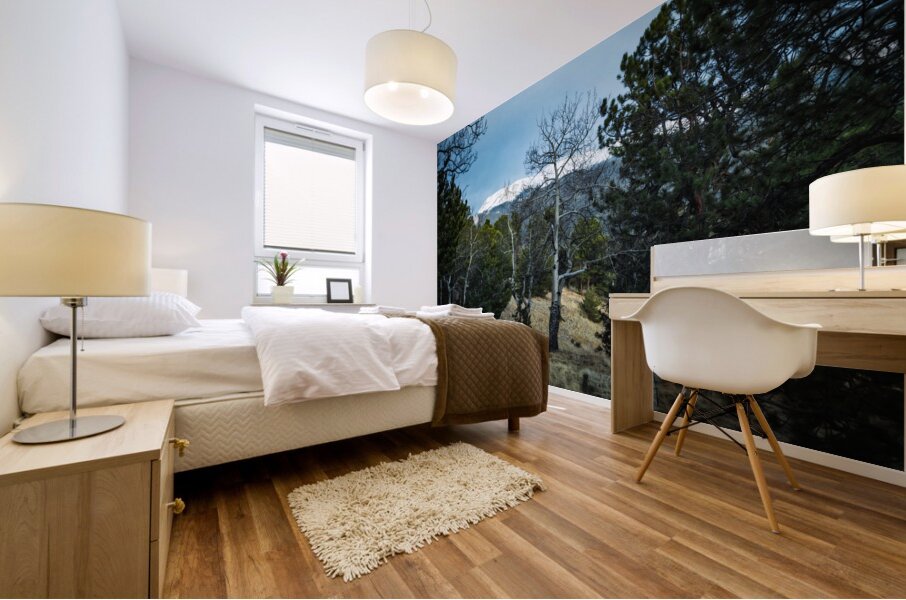 Mueller Aspen Series: Aspen Mountain Mural print