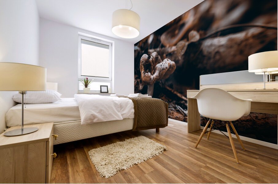 Mystical Fungi: Quiet Contemplation The Sullen Fungus Mural print