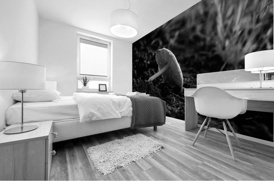 Montana Ranch Shroom: Golden Hoof Fungus Mural print