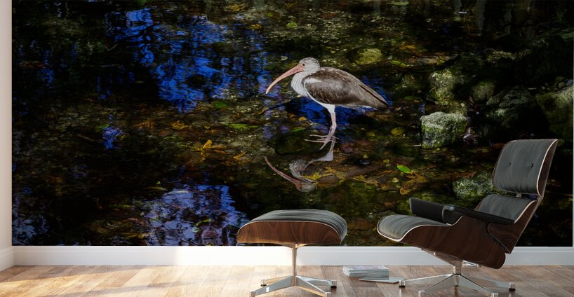 Songbirds and Sunshine: A Day of Birdwatching Bliss Wall Murals