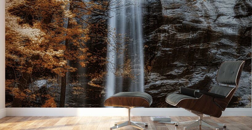 Tranquil Veil - Golden Falls Wall Murals
